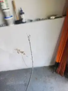 Broken Extension Spring and Safety Cable Repair in Natick, MA 5 Frayed Garage Door Safety Cable – Natick, Ma